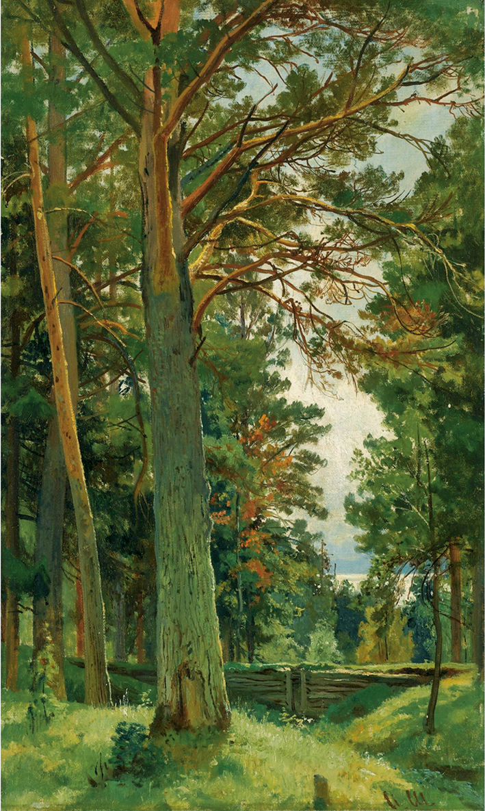  伊凡·伊凡诺维奇·希施金 Ivan I. Shishkin —— Ivan Shishkin-051